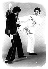 Wing Chun Gung Fu